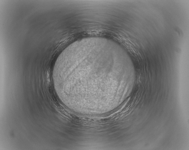 X0000115651106200912011516