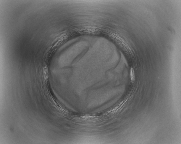 X0000115651107200912011516