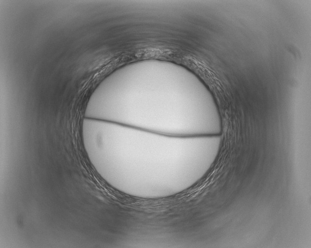 X0000115651109200912011516