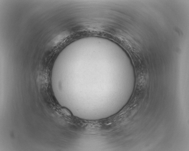 X0000115651110200912011516