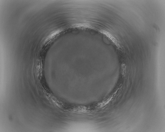 X0000115651111200912011516