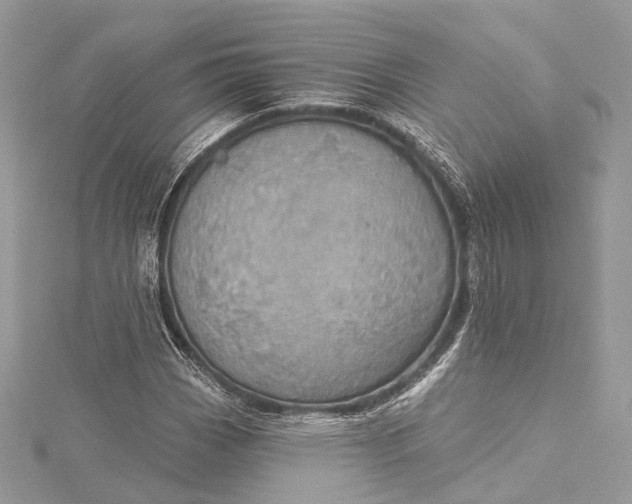 X0000115651113200912011516