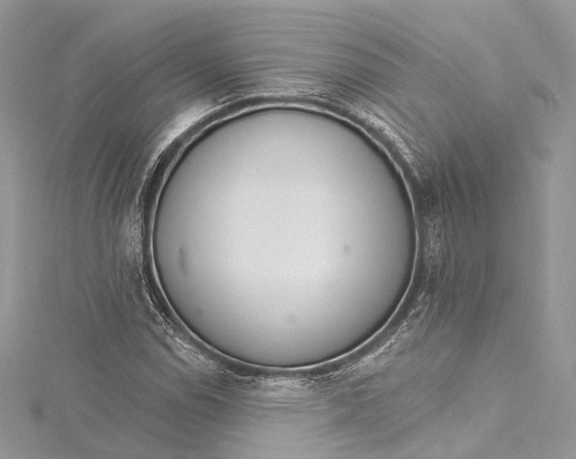 X0000115651114200912011516