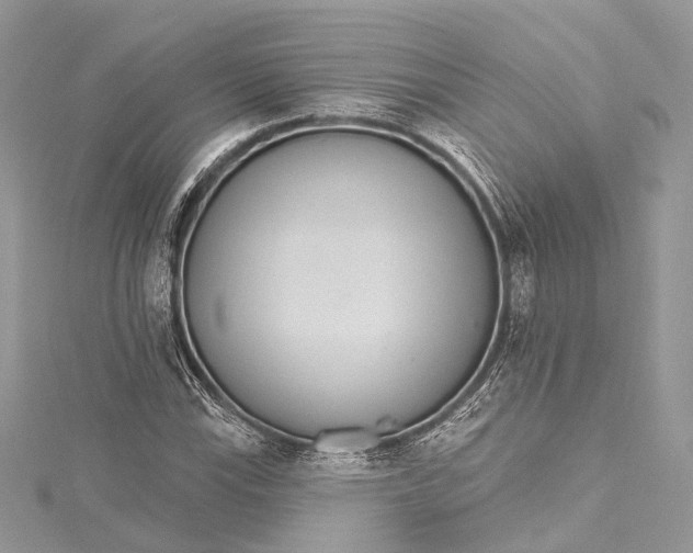 X0000115651115200912011516