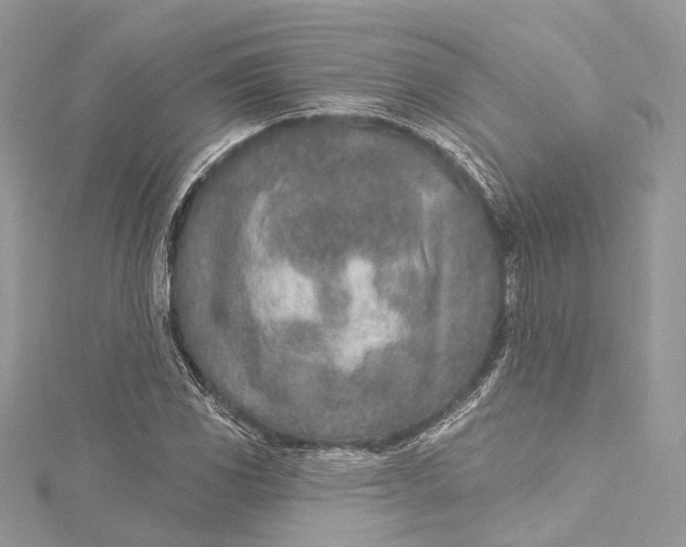 X0000115651117200912011516