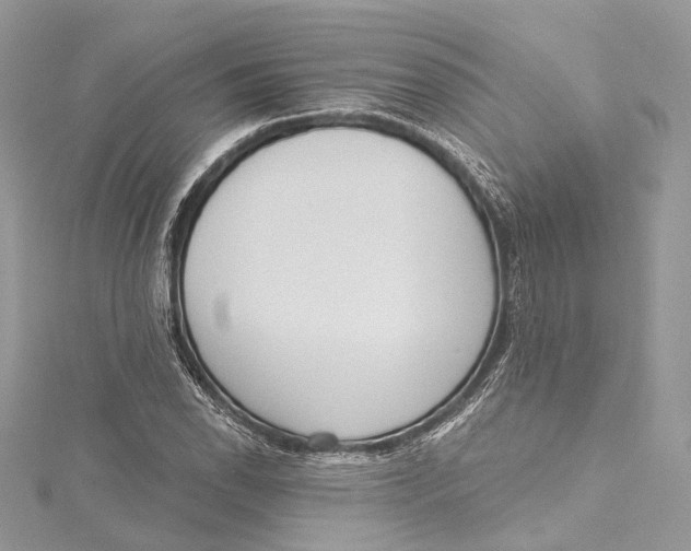 X0000115651118200912011516