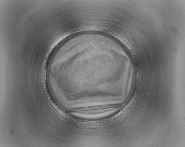 X0000115651119200912011516