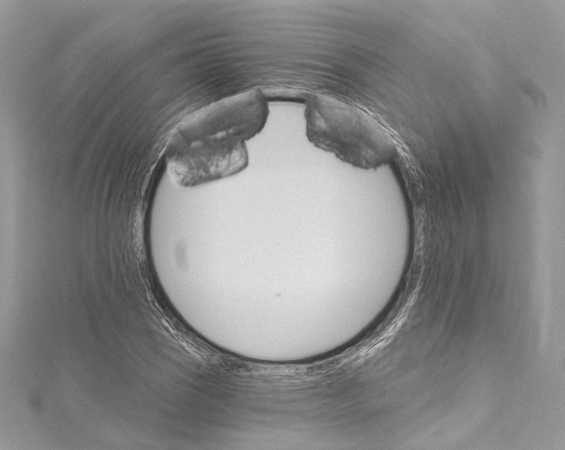 X0000115651121200912011516