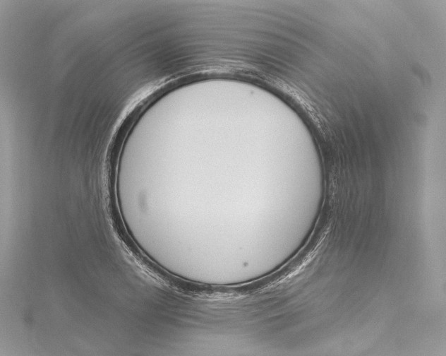 X0000115651122200912011516