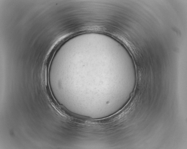 X0000115651123200912011516