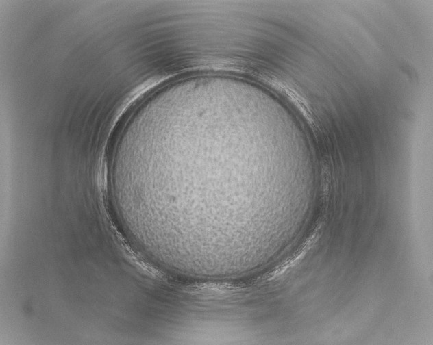 X0000115651125200912011516