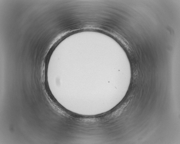 X0000115651126200912011516