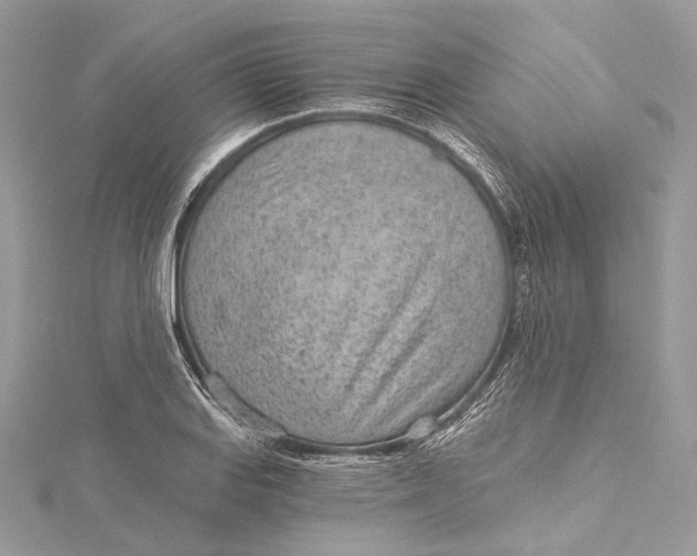 X0000115651127200912011516