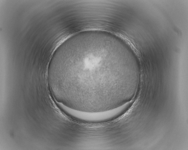 X0000115651129200912011516