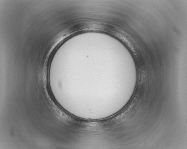 X0000115651130200912011516