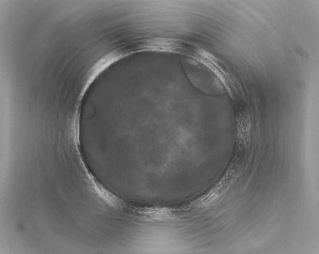 X0000115651131200912011517