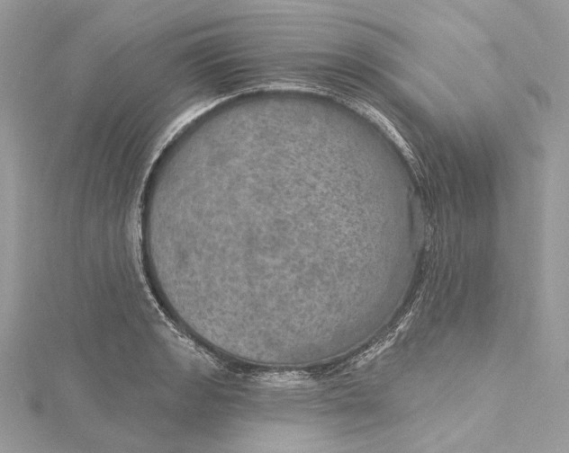 X0000115651133200912011517