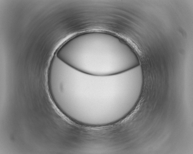 X0000115651134200912011517