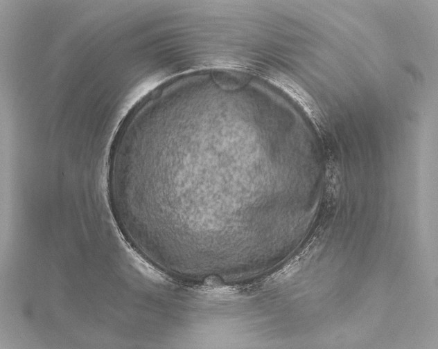 X0000115651135200912011517