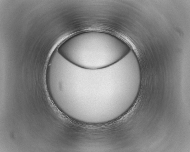 X0000115651138200912011517