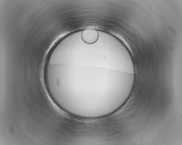 X0000115651139200912011517