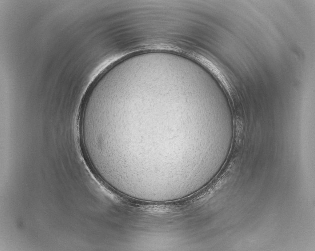 X0000115651141200912011517