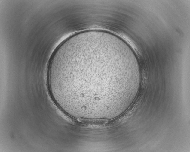 X0000115651142200912011517