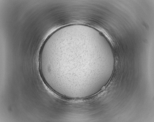 X0000115651143200912011517