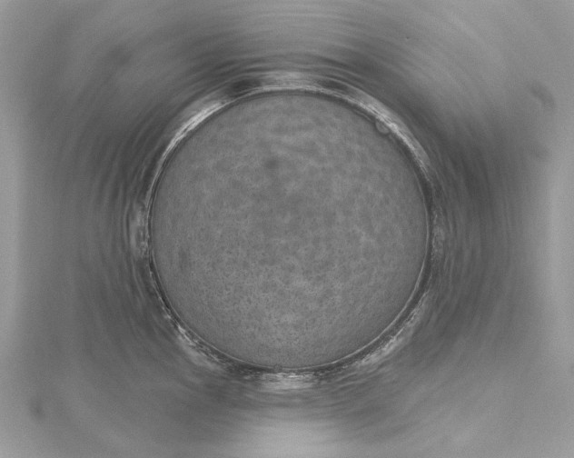 X0000115651145200912011517