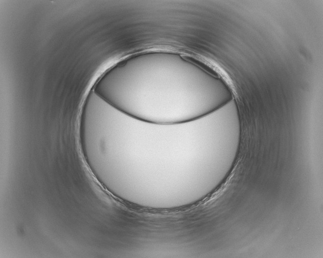 X0000115651146200912011517