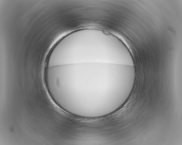 X0000115651147200912011517