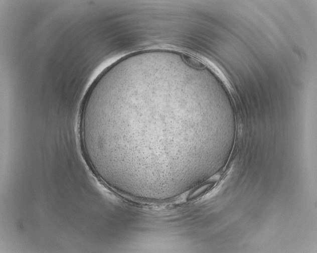 X0000115651149200912011517