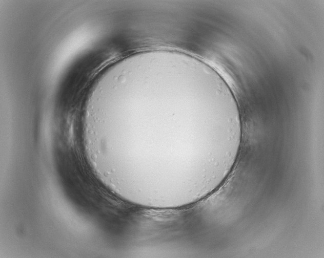 X0000115651150200912011517