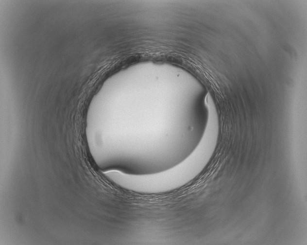 X0000115651153200912011516