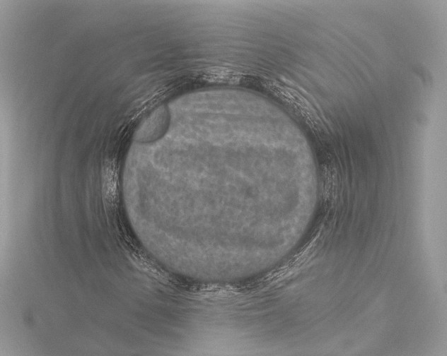 X0000115651154200912011516