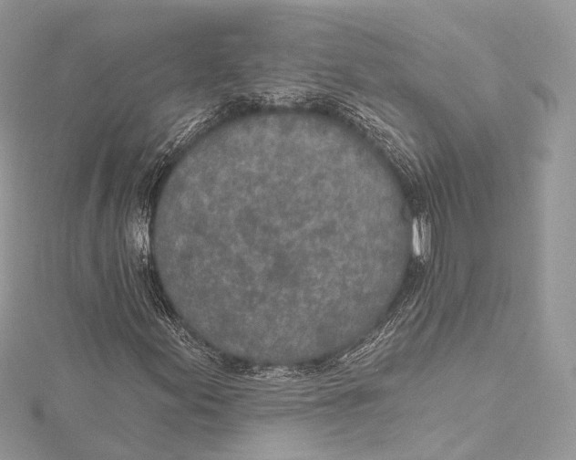 X0000115651155200912011516