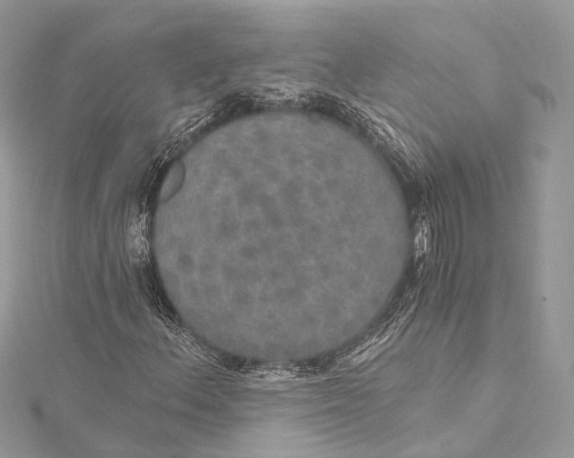 X0000115651156200912011516