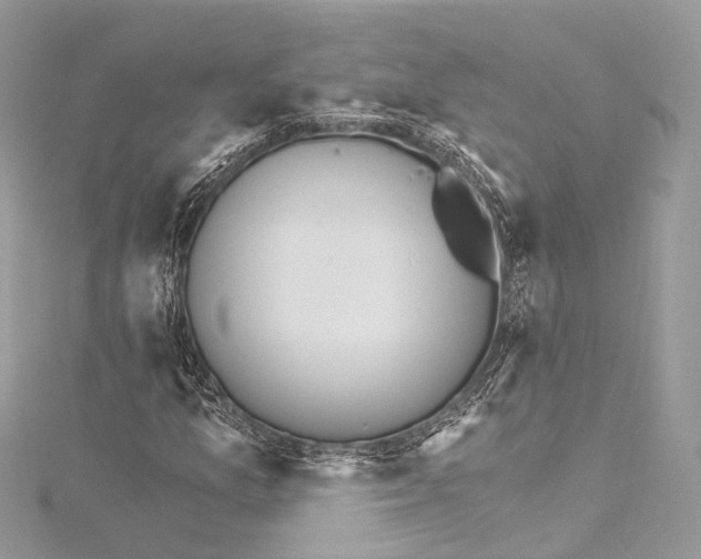 X0000115651157200912011516