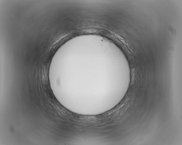 X0000115651158200912011516