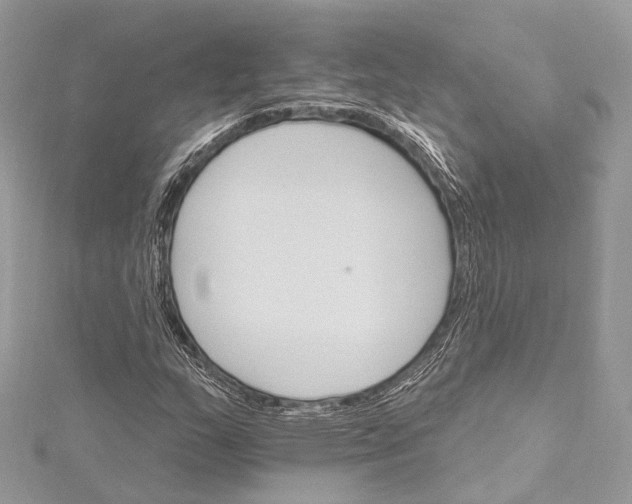 X0000115651159200912011516