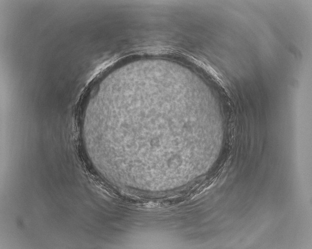 X0000115651160200912011516