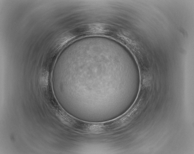 X0000115651161200912011516