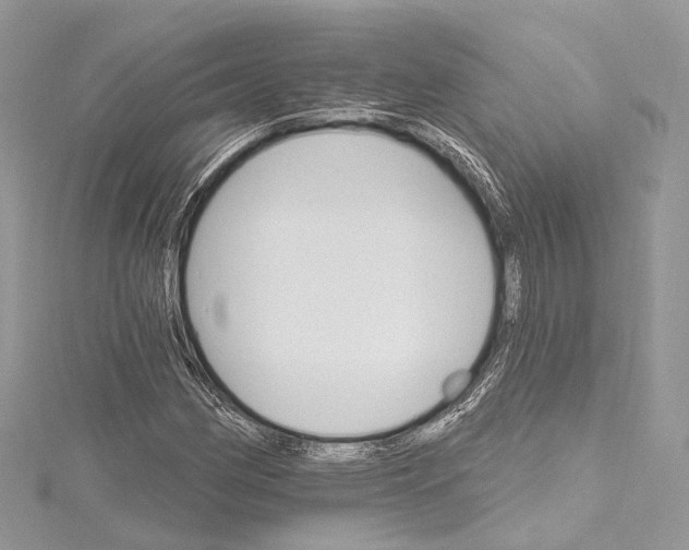 X0000115651162200912011516