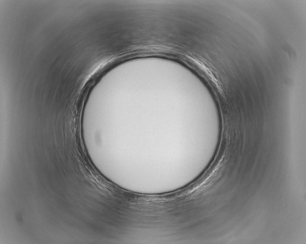 X0000115651163200912011516