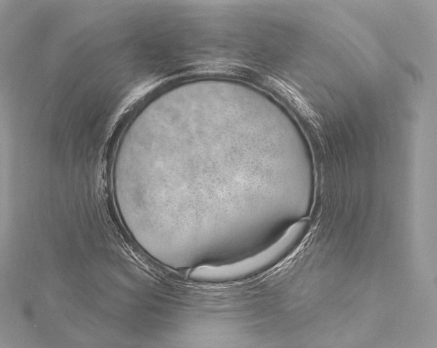 X0000115651164200912011516