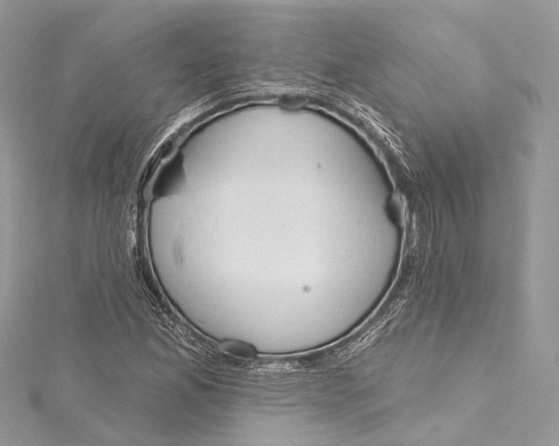 X0000115651165200912011516