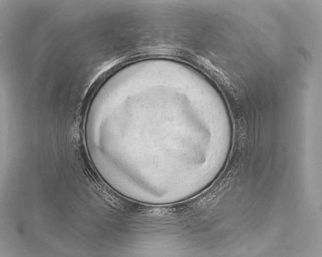 X0000115651166200912011516