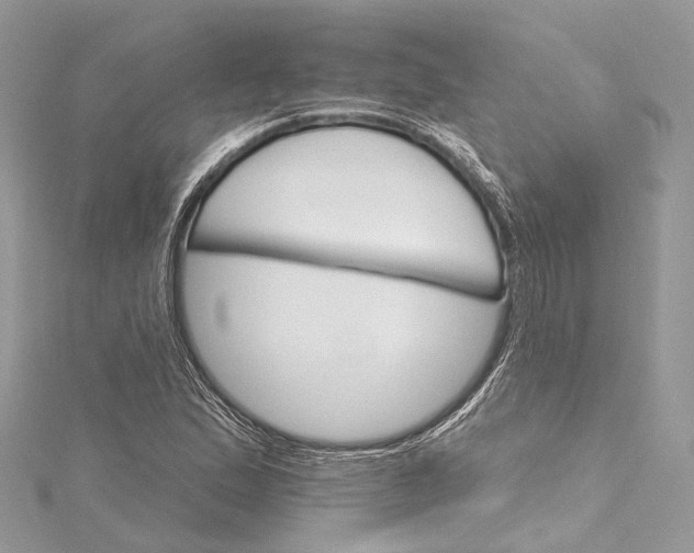 X0000115651167200912011516