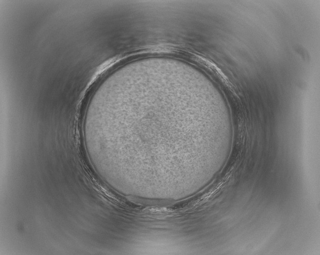 X0000115651168200912011516