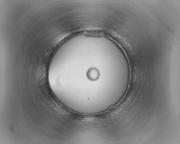 X0000115651169200912011516